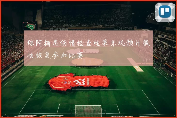 琼阿梅尼伤情检查结果乐观预计很快恢复参加比赛